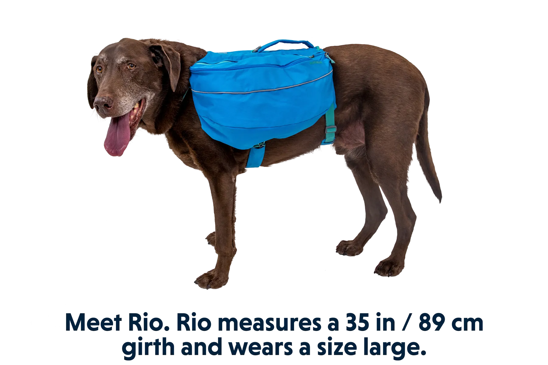 RP - Approach™ Dog Backpack