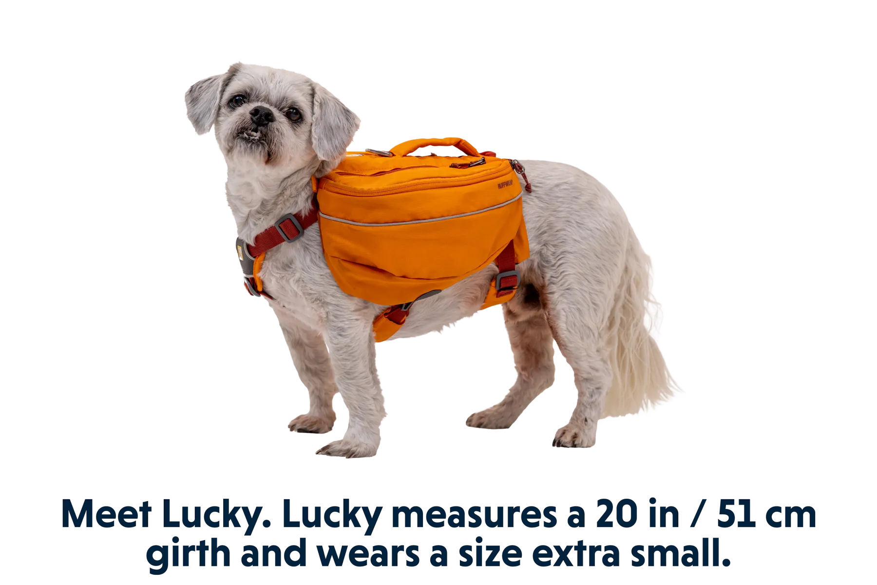 RP - Approach™ Dog Backpack